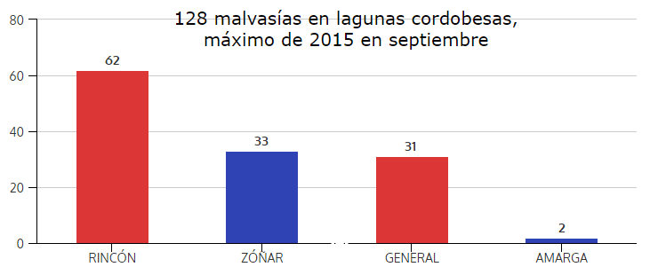 128-MALVASIAS #Malvasía, el pato que sigue siendo andaluz