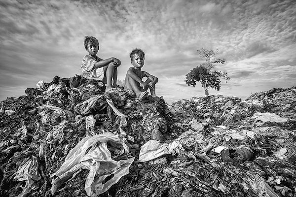1what-remains-of-our-forests-600x400 Javier Sánchez-Monge galardonado en los IPA 2016 de fotografía