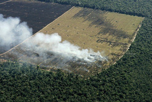 br-amazonia-deforestacion Greenpeace denuncia un repunte de la deforestación en la Amazonía