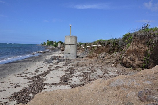 Nieves-Caribe-BrownD-IPS Alertan catástrofe climática en el Caribe