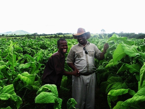 Kindness-Paradza-con-empleado_StanleyKwenda-IPS Erradicar el hambre; prioridad FAO para después de 2015