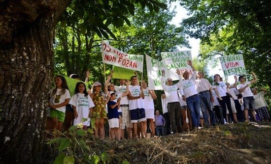 Ave-castañar-Cerdedelo AVE gallego: Impacto medioambiental en Orense