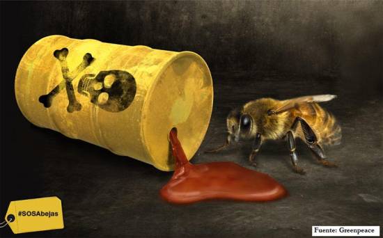 abejas-intoxicadasfuente Día de la Tierra 2017: pocos motivos de celebración