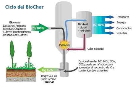 Ciclo-Bio-Char Biocarbón puede hacer retroceder el reloj climático