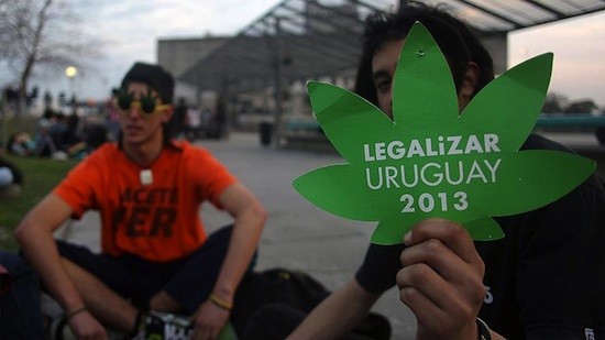 Uruguay cultivo comercio marihuana Uruguay aprueba cultivo y comercio de marihuana