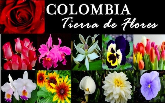 colombia-tierra-flores Colombia busca fortalecer lazos comerciales con la UE