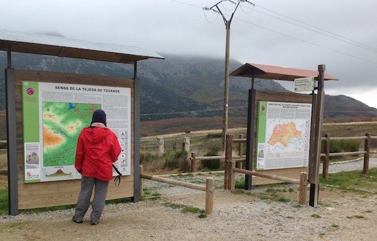 Tosande-aparcamiento La magia del tejo en la montaña palentina