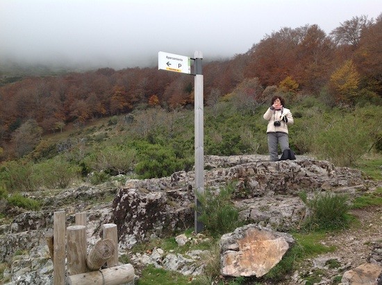 Tosande-cumbre La magia del tejo en la montaña palentina