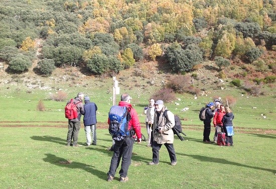 Tosande-excursionistas La magia del tejo en la montaña palentina