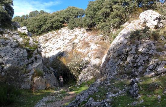 Tosande-novios La magia del tejo en la montaña palentina