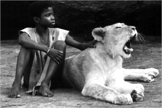 enfant-lion-escena Reestreno en Francia de "L’enfant Lion", una fábula africana