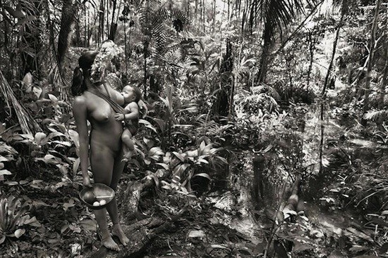 Salgado-Amazonas Sebastiao Salgado: el hombre y la naturaleza