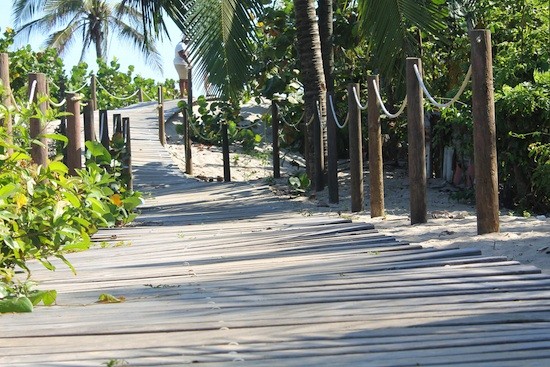 Aguan-senda-madera_ThelmaMejia Santa Rosa de Aguán no quiere enojar al mar