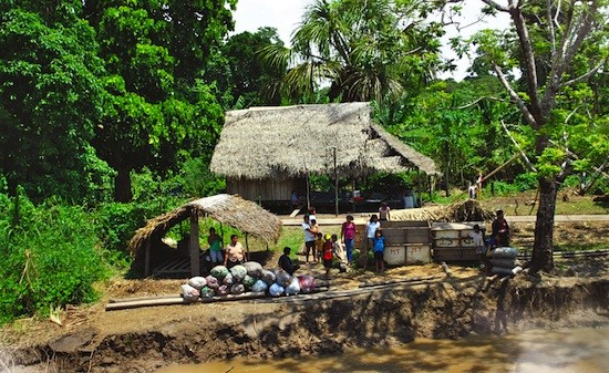 Gran-Dragon-familias "El gran dragón", la medicina natural en la Amazonia peruana