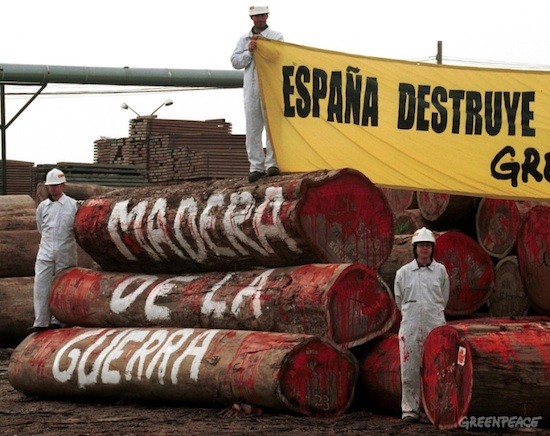 Greenpeace-contra-madera-ilegal España no controla la entrada de madera ilegal