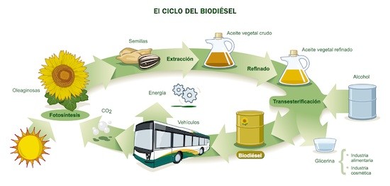 ciclo-biodiesel Andalucía obtiene la mayor cuota para la producción de biodiésel de Europa