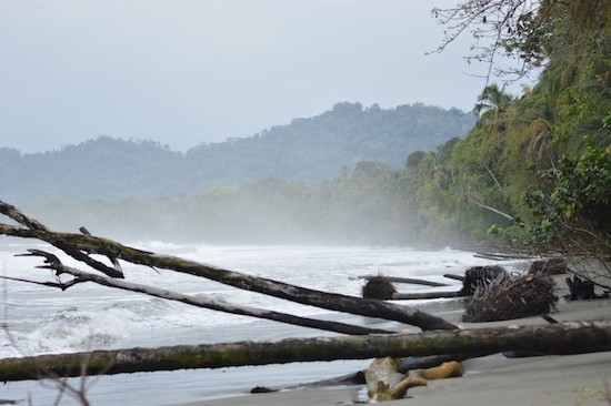 Costa-Rica-Parque-Nacional-Cahuita_DiegoArguedas-IPS #SalvarLosOceanos: la FAO aporta siete razones