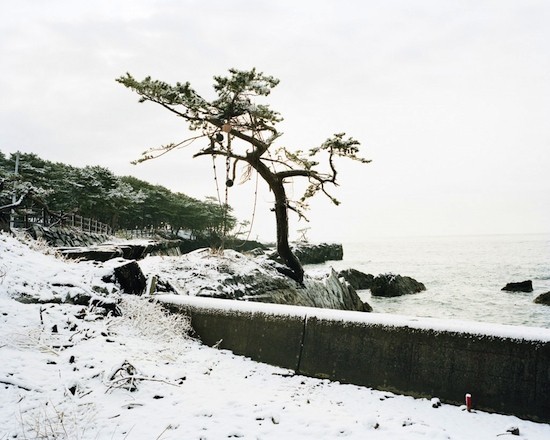 Hans Christian Schink: Tōhoku, paisaje de tsunami Hans Christian SchinkHans Christian Schink Tōhoku Kesennuma Hajikamiiwaisaki 1 Miyagi Prefecture 550 Hans Christian Schink: Tōhoku, paisaje de tsunami
