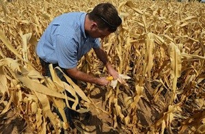 agro-alimentos Preocupante aumento de la dependencia alimentaria