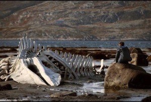 Leviathan-ballena Cannes 2014: Poderoso cine ruso y decepcionante película francesa cierran la competición