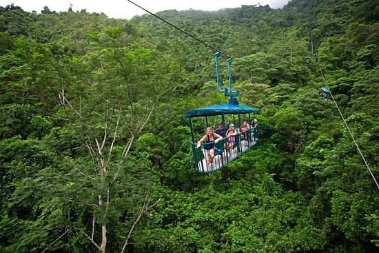 Costa-Rica-bosques-teleferico Bosques latinoamericanos sin garantías suficientes