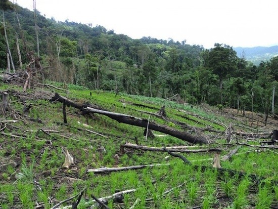 Nicaragua-reserva-Bosawas_JGarthMedina-IPS El pueblo mayagna y su bosque peligran en Nicaragua