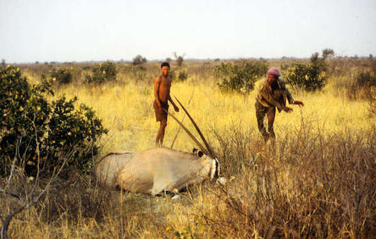cazadores-bosquimanos-botsuana Presidente de Botsuana, racista del año