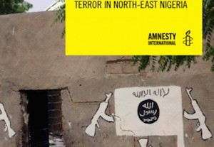 Amnistia-Boko-Haram-Nigeria La violencia sexual se afianza en los conflictos