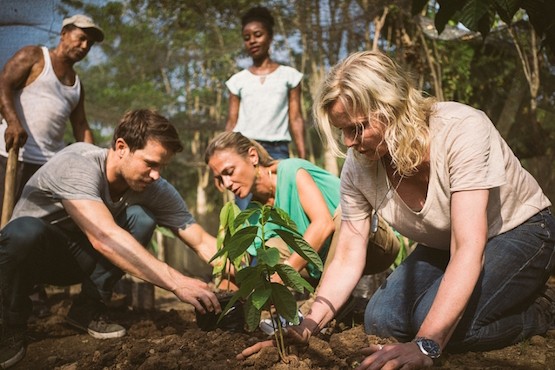 Carnival-Corporation-plantas-cacao EEUU autoriza viajes con impacto social a Cuba