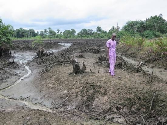 Contaminacion-Delta-Niger-Shell-AI Shell deja el delta del Níger contaminado