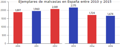 EVOLUCION-ULTIMAS-ANUALIDADES-1 #Malvasía, el pato que sigue siendo andaluz