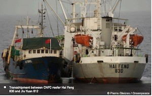 Greenpeace-pesca-ilegal-china-africa-barcos Greenpeace: pesqueros chinos expolian los mares africanos