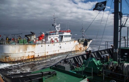 Kunlun-piratas-pesca Piratería pesquera española en la Antártida