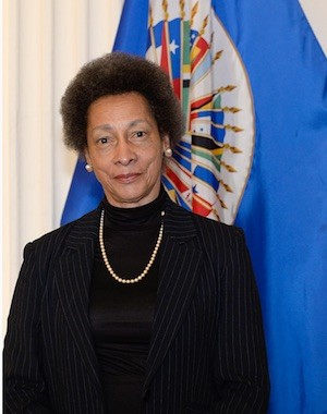 Margarette-May-Macaulay James Cavallaro presidente de la CIDH