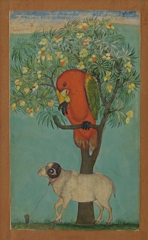 Parrot-posado-mango Nueva York: exposiciones en el Museo Metropolitan y galerías