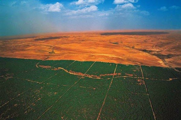 africa-mapa-gran-muralla-verde-arboles-600x400 África lucha contra la desertificación con una Gran Muralla Verde