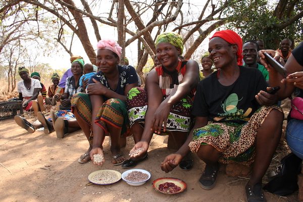 agricultoras-legumbres-zambia_bbafana-ips-600x400 Inseguridad alimentaria en África: opción legumbres