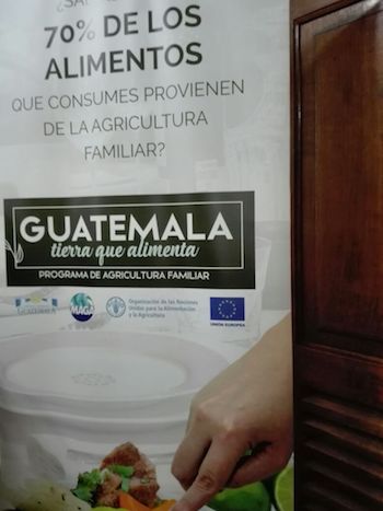 agricultura-familiar-guatemala Guatemala: urge aprobar la ley de agricultura familiar