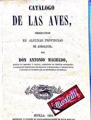 antonio-machado-aves Doñana y el abuelo de Antonio Machado