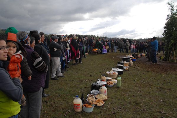 araucania-chile-mapuches-ffiedler-ips-600x401 Mapuches sufren espiral de violencia en el sur de Chile