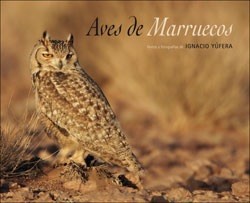 aves-de-Marruecos-portada Aves de Marruecos: un viaje por Marruecos a través de sus pájaros
