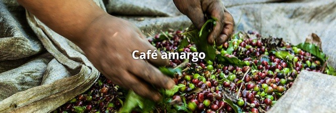 brasil-reporter-cafe-amargo Brasil: obra esclava en fincas cafetaleras