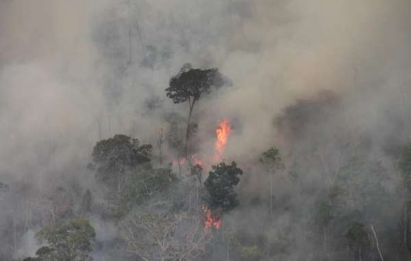 brasil-selva-incendios-inpe-2 Incendios amazónicos, la otra cara de Brasil