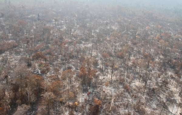 brasil-selva-incendios-inpe Incendios amazónicos, la otra cara de Brasil