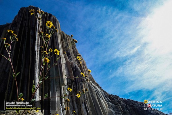 cascadas-petrificadas Premiados por fotografiar la naturaleza mexicana