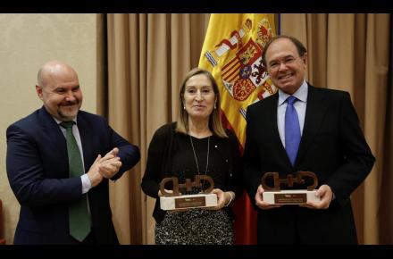 cermi-premios-congreso-senado Cermi premia al Congreso y al Senado en su 20º Aniversario