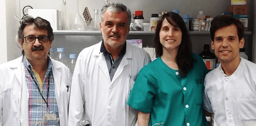 cibercv-cientificos Científicos españoles descubren cómo mejorar el trasplante cardiaco