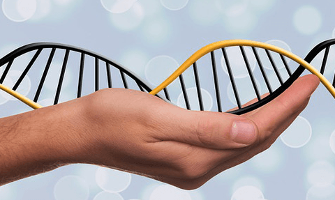crispr-cas9 Tres de cada cuatro pacientes aprobarían curar enfermedades con terapia génica