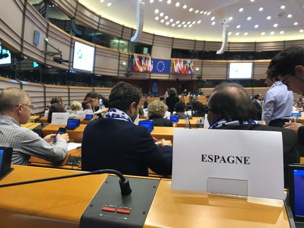 delegacion-espanola-bruselas-parlamento-europeo-600x450 El movimiento europeo #Discapacidad reclama la defensa de sus derechos