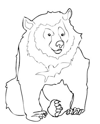 dibujo-oso-himalaya El Yeti no tenía nada de abominable, era un oso